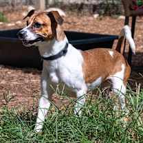 Thumbnail photo of Lucille #1