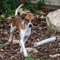 Thumbnail photo of Lucille #3