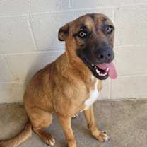 Thumbnail photo of Rosanne 9683 #1