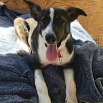 Thumbnail photo of Sirena #2