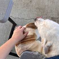 Thumbnail photo of Mariella #2