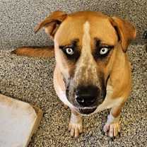 Thumbnail photo of THUNDER #1