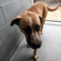 Thumbnail photo of THUNDER #2