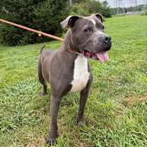 Thumbnail photo of Marlo #2