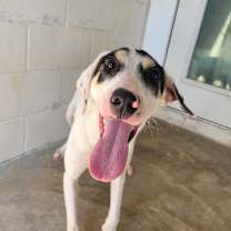 Thumbnail photo of MAX 1528 #1