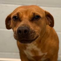 Thumbnail photo of Maryland 4703 #1