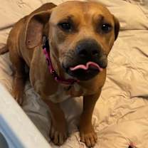 Thumbnail photo of Maryland 4703 #2