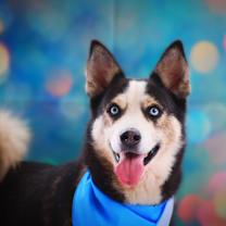 Thumbnail photo of Haku JuM* #3