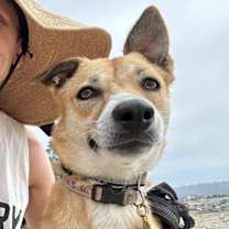 Thumbnail photo of London #1