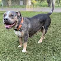 Thumbnail photo of Sophie #3