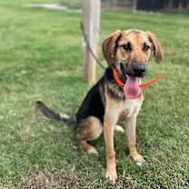 Thumbnail photo of Lake #3