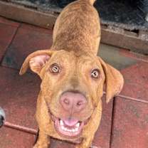 Thumbnail photo of CHRISTINE #1