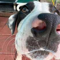 Thumbnail photo of FLEETWOOD #1