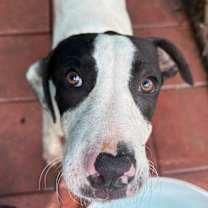 Thumbnail photo of FLEETWOOD #2