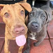 Thumbnail photo of CHRISTINE #3