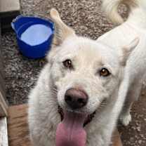 Thumbnail photo of Blanche #1