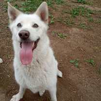 Thumbnail photo of Blanche #3