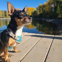 Thumbnail photo of Mocha #3