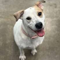 Thumbnail photo of Maggie #1