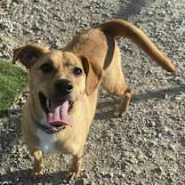 Thumbnail photo of Orton #1