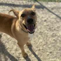 Thumbnail photo of Orton #2