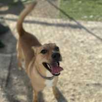 Thumbnail photo of Orton #3