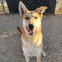 Thumbnail photo of Diego #1