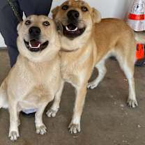 Thumbnail photo of Diego #2