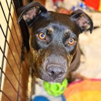 Thumbnail photo of Ursula TW #2