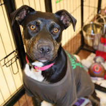 Thumbnail photo of Ursula TW #3