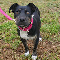 Thumbnail photo of Ursula TW #4