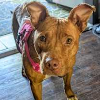 Thumbnail photo of Jolene #1