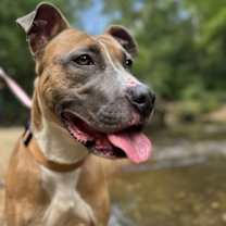 Thumbnail photo of Luna (Pepsi) #2