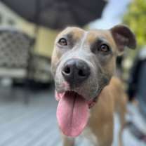 Thumbnail photo of Luna (Pepsi) #3