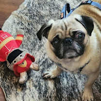 Thumbnail photo of Pokey #2