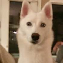 Thumbnail photo of Winter #2