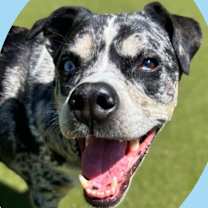 Thumbnail photo of Freya #1