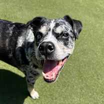 Thumbnail photo of Freya #2