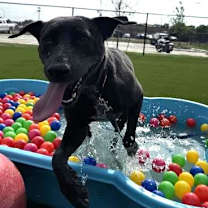 Thumbnail photo of Erika #2