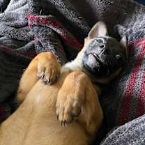 Thumbnail photo of Mel #2