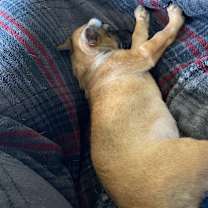 Thumbnail photo of Mel #3