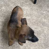 Thumbnail photo of Mel #4