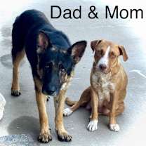 Thumbnail photo of Arlo #2