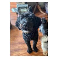 Thumbnail photo of Armstrong #4