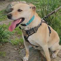 Thumbnail photo of Peggy #1