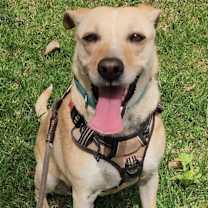 Thumbnail photo of Peggy #2