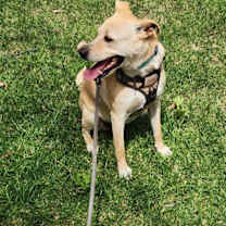 Thumbnail photo of Peggy #3