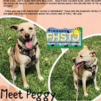 Thumbnail photo of Peggy #4