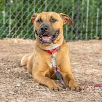 Thumbnail photo of Taffy #1