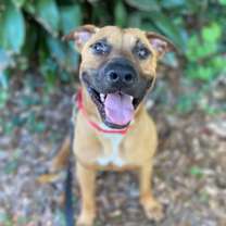 Thumbnail photo of Taffy #3